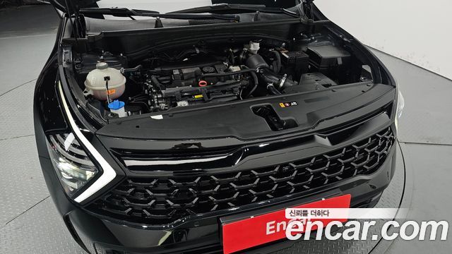 Kia Sportage (V) Gasoline 1.6 Turbo 4WD 30TH Edition 2024 — фото 6