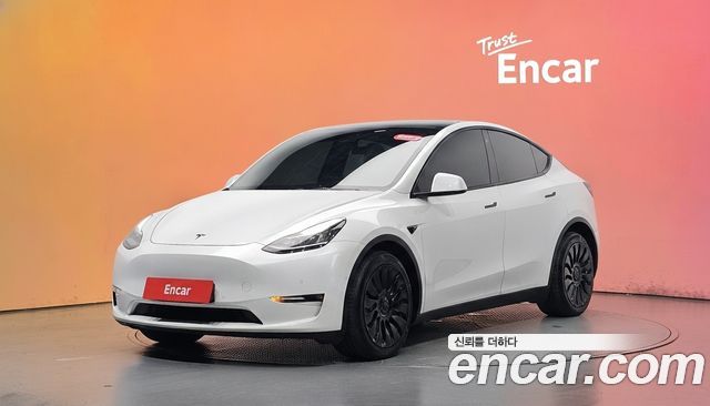 Tesla Model Y Long Range AWD 2021 — фото 1