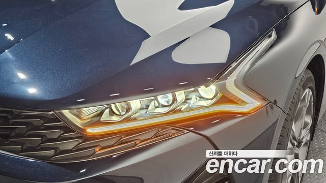 Kia K5 (III) 2.0 Noblesse 2022 — фото 22