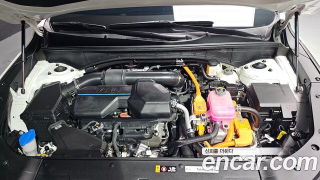 Kia Sorento (IV) HEV 1.6 2WD Signature 2025 — фото 6