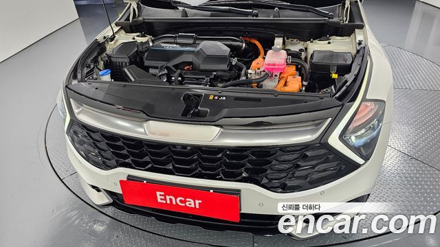 Kia Sportage Hybrid (V) Nobleless 2WD 2022 — фото 6