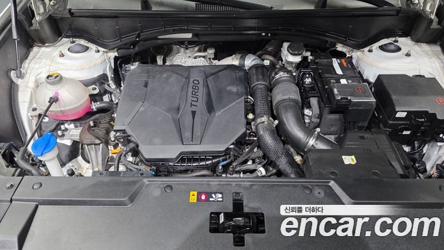 Hyundai Santa Fe (MX5) Gasoline 2.5T 4WD Calligraphy 2024 — фото 6