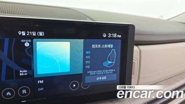 Hyundai Santa Fe (MX5) Gasoline 2.5T 4WD Calligraphy 2024 — фото 35