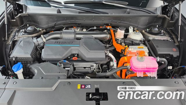 Hyundai Santa Fe (MX5) HEV 1.6 2WD Calligraphy 2024 — фото 6