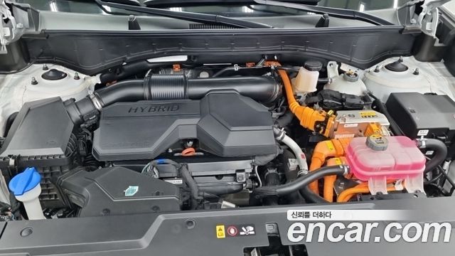 Hyundai Santa Fe (MX5) HEV 1.6 2WD Calligraphy 2025 — фото 6