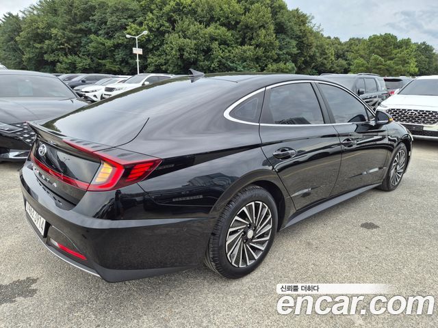 Hyundai Sonata Hybrid (DN8) Premium Plus 2022 — фото 4