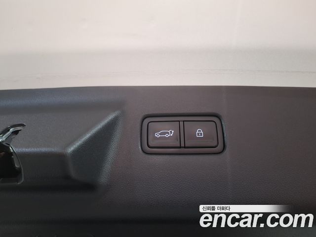 Hyundai Santa Fe (MX5) HEV 1.6 2WD Calligraphy 2024 — фото 7