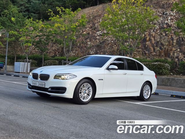 BMW 5 Series (F10) 520d