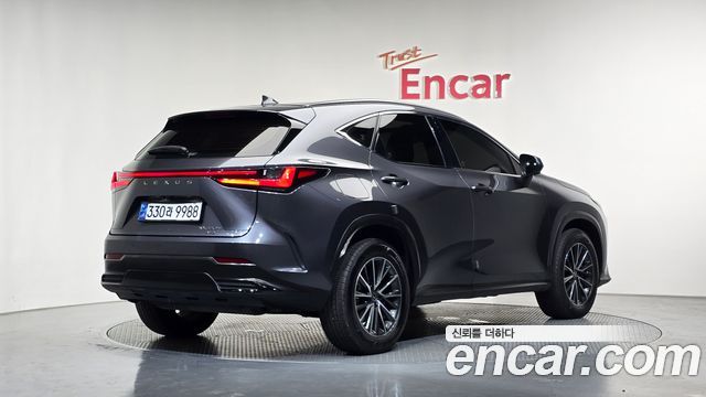 Lexus NX450h+ (II) Premium 2024 — фото 2
