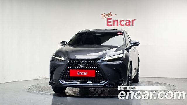 Lexus NX450h+ (II) Premium 2024 — фото 3