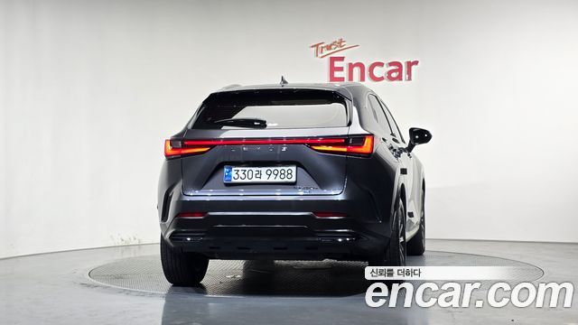Lexus NX450h+ (II) Premium 2024 — фото 4