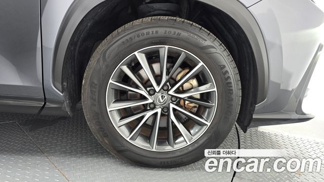 Lexus NX450h+ (II) Premium 2024 — фото 21