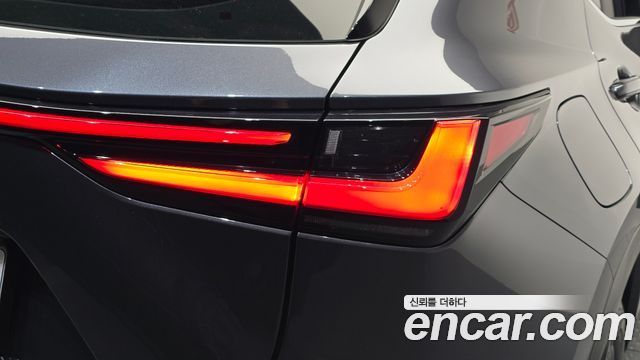 Lexus NX450h+ (II) Premium 2024 — фото 23