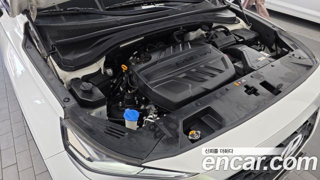 Hyundai Santa Fe (TM) Diesel 2.0 2WD Exclusive 2019 — фото 6