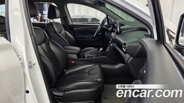 Hyundai Santa Fe (TM) Diesel 2.0 2WD Exclusive 2019 — фото 11