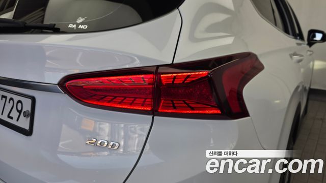 Hyundai Santa Fe (TM) Diesel 2.0 2WD Exclusive 2019 — фото 23