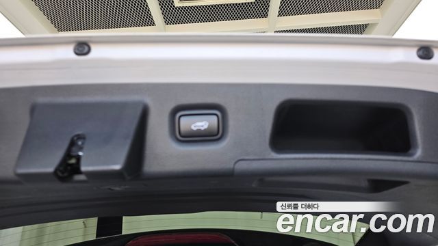 Hyundai Santa Fe (TM) Diesel 2.0 2WD Exclusive 2019 — фото 28
