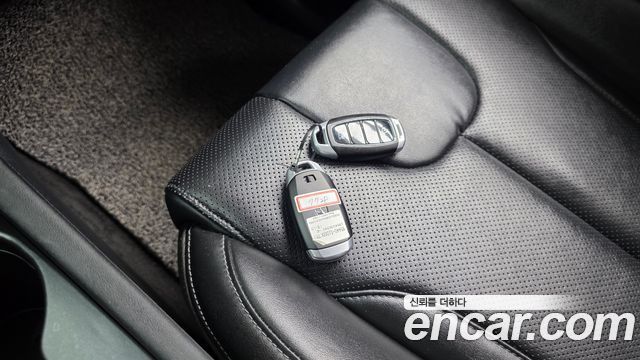 Hyundai Santa Fe (TM) Diesel 2.0 2WD Exclusive 2019 — фото 30