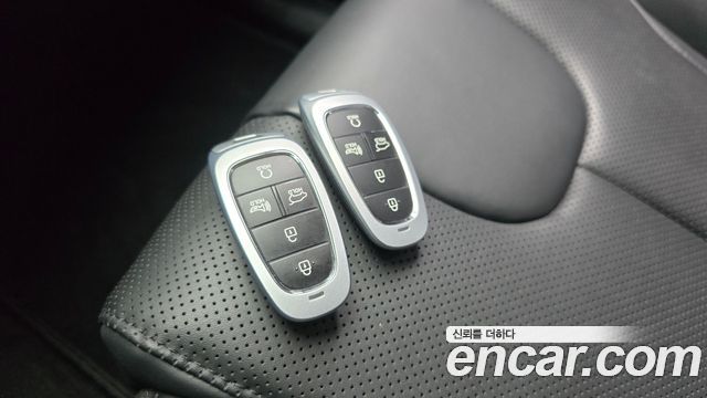 Hyundai Santa Fe Diesel 2.2 2WD Premium Choice 2021 — фото 30