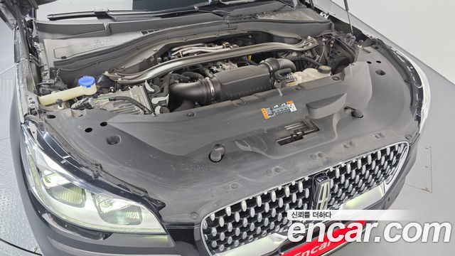 Lincoln Aviator (II) 3.0 Black Label AWD 2021 — фото 6