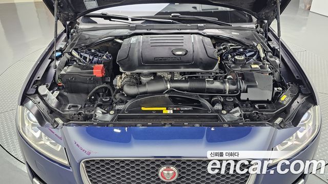 Jaguar XF (X260) 20d Prestige 2017 — фото 6