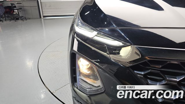 Hyundai Santa Fe (TM) Diesel 2.0 2WD Exclusive 2020 — фото 22