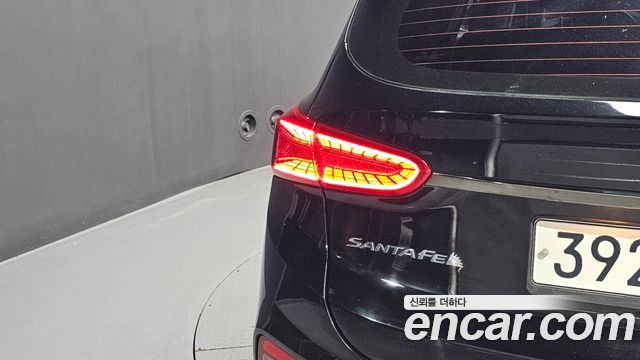 Hyundai Santa Fe (TM) Diesel 2.0 2WD Exclusive 2020 — фото 23