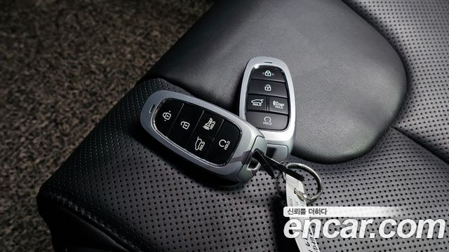 Hyundai Santa Fe Diesel 2.2 2WD Premium Choice 2021 — фото 35