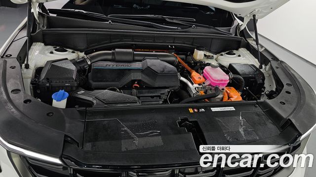 Kia Sorento (IV) HEV 1.6 2WD Gravity 2025 — фото 6