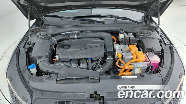 Kia K5 Hybrid (III) Noblesse 2023 — фото 6