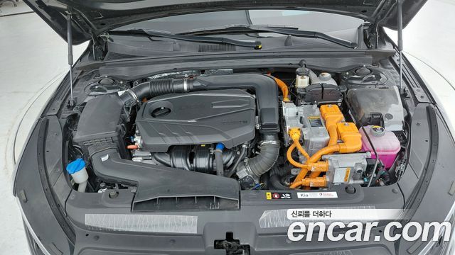 Kia K5 Hybrid (III) Noblesse 2023 — фото 6