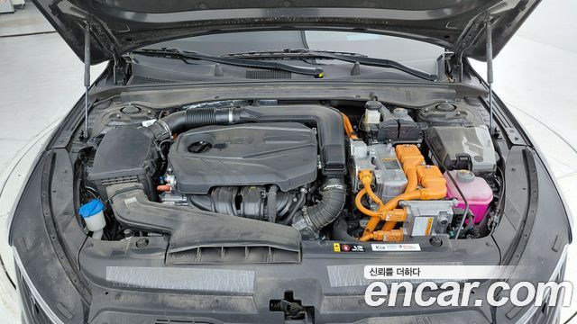Kia K5 Hybrid (III) Noblesse 2023 — фото 6