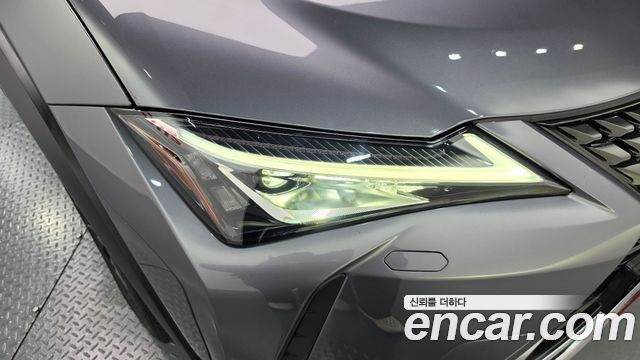 Lexus UX250h 2.0 2WD 2021 — фото 22