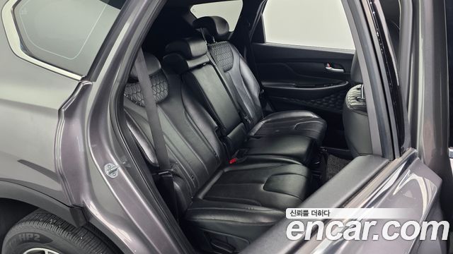 Hyundai Santa Fe (TM) Diesel 2.0 2WD Exclusive 2019 — фото 11