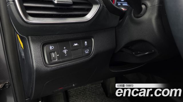 Hyundai Santa Fe (TM) Diesel 2.0 2WD Exclusive 2019 — фото 19