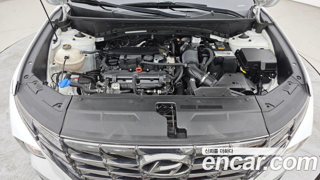 Hyundai Tucson (NX4) Gasoline 1.6 Turbo 2WD Premium 2023 — фото 6