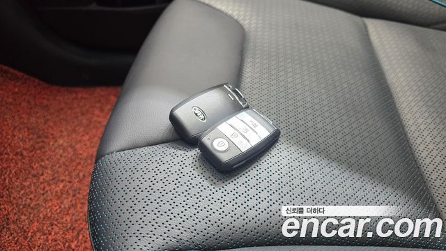 Kia Niro EV Noblesse 2019 — фото 15