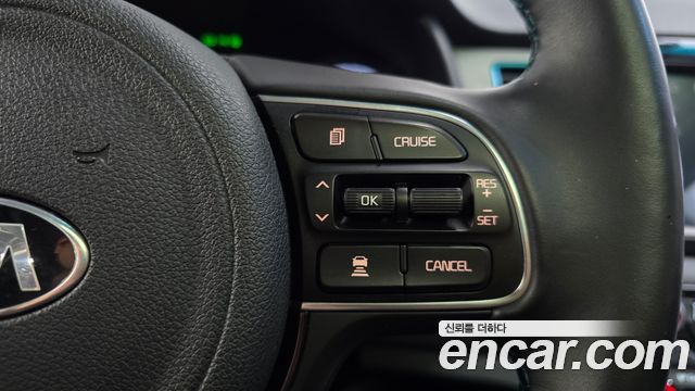 Kia Niro EV Noblesse 2019 — фото 16