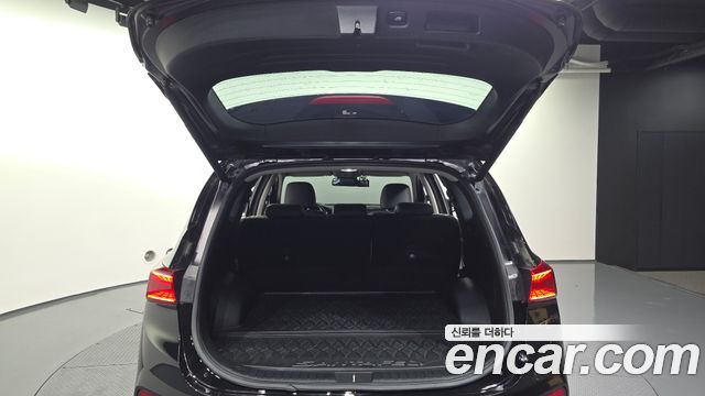Hyundai Santa Fe (TM) Diesel 2.0 2WD Exclusive 2019 — фото 20