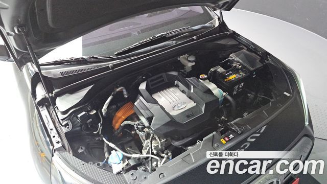 Hyundai Ioniq Electric Q 2020 — фото 6