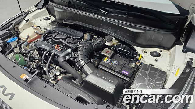 Kia Seltos Gasoline 1.6 Turbo 2WD Trendy 2023 — фото 6