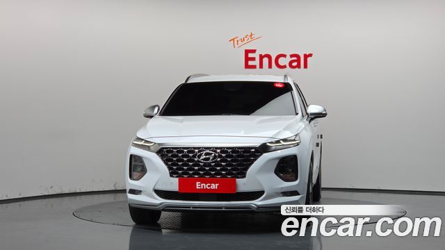 Hyundai Santa Fe (TM) Diesel 2.0 2WD Inspiration 2019 — фото 3