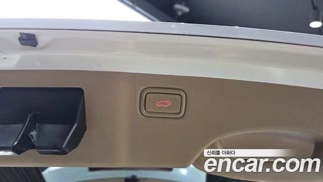 Kia Carnival 9-Seater Hi-Limousine Noblesse Special 2019 — фото 31