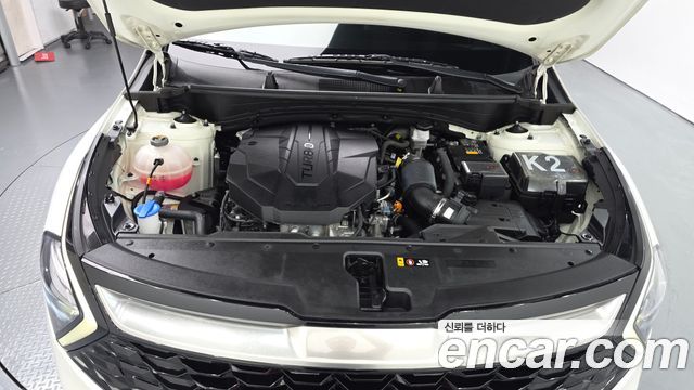 Kia Sportage (V) Diesel 2.0 2WD Nobleless 2023 — фото 6