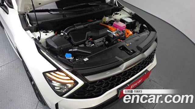 Kia Sportage Hybrid (V) Signature Gravity 2WD 2024 — фото 6
