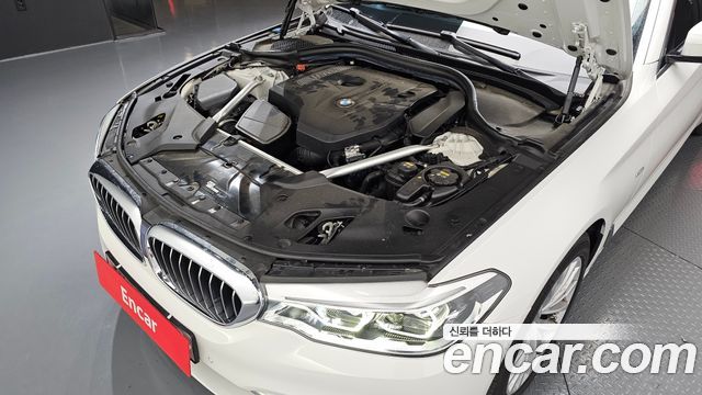 BMW 5 Series (G30) 530i Luxury Plus 2018 — фото 6
