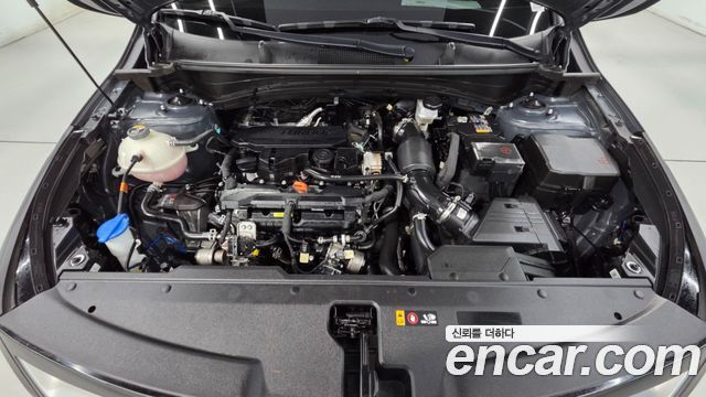 Kia Sportage (V) Gasoline 1.6 Turbo 2WD Signature 2024 — фото 24
