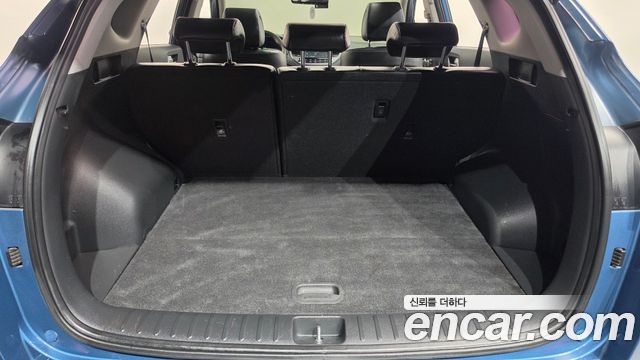 Hyundai Tucson Diesel 2.0 2WD Premium 2016 — фото 18