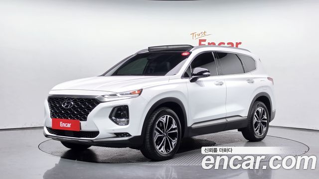 Hyundai Santa Fe (TM) Diesel 2.0 2WD Exclusive Special 2019 — фото 1