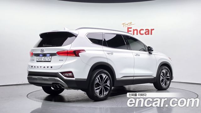 Hyundai Santa Fe (TM) Diesel 2.0 2WD Exclusive Special 2019 — фото 2